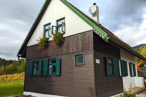 une maison avec des fenêtres aux volets verts dans l'établissement Cozy cottage Geltschberg Nr. 1, à Liběšice