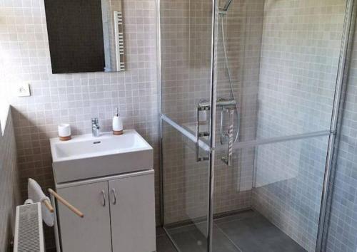 bagno con doccia e lavandino di Cozy cottage Geltschberg Nr. 1 a Liběšice