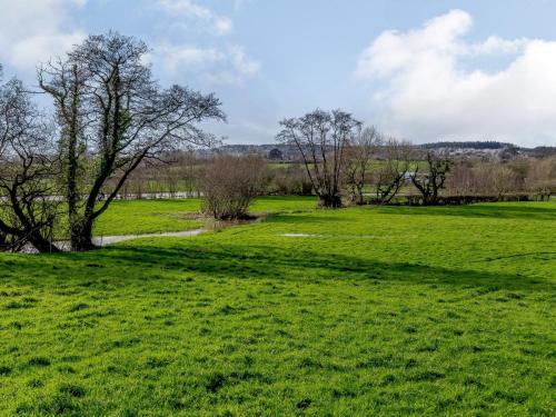 a field of green grass with trees in the background at 2 bed property in Axminster BLOLO in Axminster