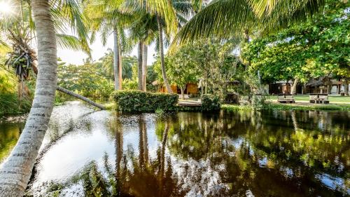 a body of water with palm trees and a river at Kibayo Lagoon Villa in Cabarete
