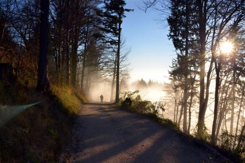 a person walking down a dirt road next to a lake at Bed & Breakfast Dvorec in Petrovče