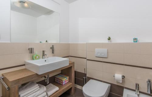 a bathroom with a sink and a toilet at Villa Lory in Vabriga
