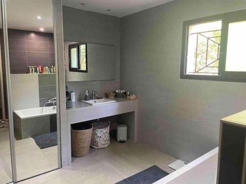 ein Badezimmer mit einem Waschbecken, einer Badewanne und einem Spiegel in der Unterkunft La Villa de la Pinède in Langlade