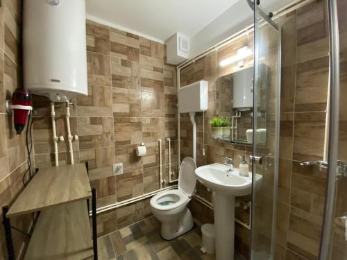 een badkamer met een toilet en een wastafel bij Bele Staze Apartman 86 in Brzeće