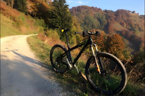 a bike parked on the side of a road at Bed & Breakfast Dvorec in Petrovče