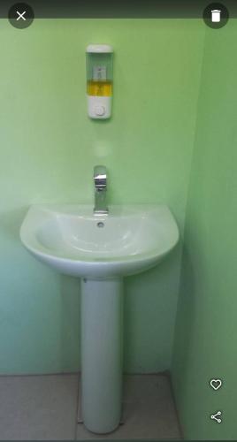 Baño con lavabo blanco y pared verde en The Hillside Hideaway, en Micoud