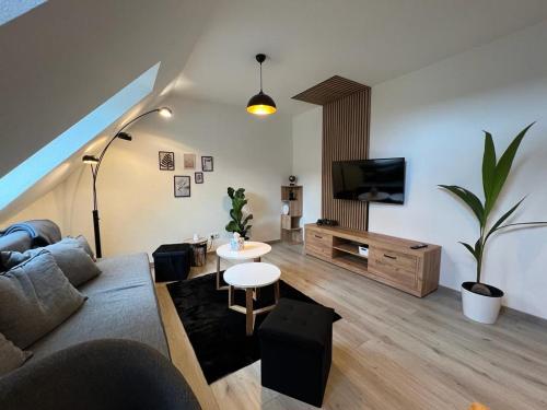 sala de estar con sofá y TV en Top of Hostel & Serviced Aparts Deluxe Maisonette-Apart Fürth, en Fürth