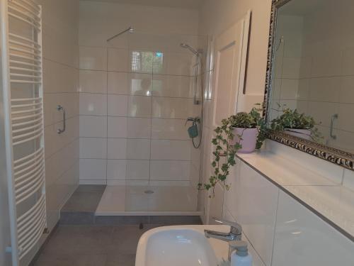 クラウスタール・ツェラーフェルトにあるHaus Barker im schönen Harzのシャワー、洗面台、トイレ付きのバスルーム