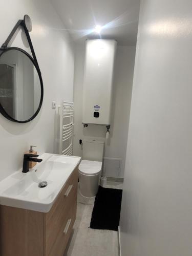 a bathroom with a sink and a toilet and a mirror at Le Provençal in Saint-Mitre-les-Remparts
