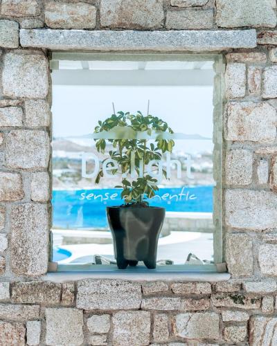 a potted plant sitting on a window sill at DeLight Boutique Hotel - Small Luxury Hotels of the World in Agios Ioannis Mykonos
