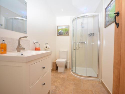 ein Bad mit einer Dusche, einem Waschbecken und einem WC in der Unterkunft 1 Bed in Abergavenny 47884 in Abergavenny
