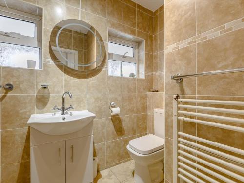 a bathroom with a toilet and a sink and a mirror at 2 Bed in Coleford 60103 in Coleford