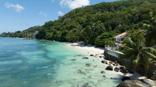 a beach with palm trees and a house on the shore at Ocean View Villa - Beauvallon villas in Beau Vallon