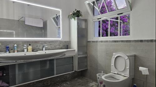 baño con aseo y lavabo y ventana en Cool 4-bedroom Villa with sea views, en Tijoco de Abajo