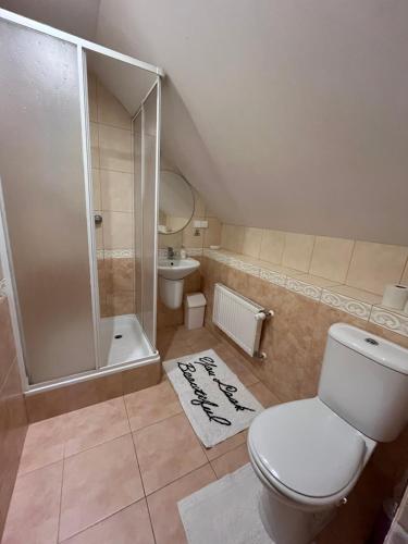 a bathroom with a toilet and a shower at Pensjonat Malinówka in Szczyrk