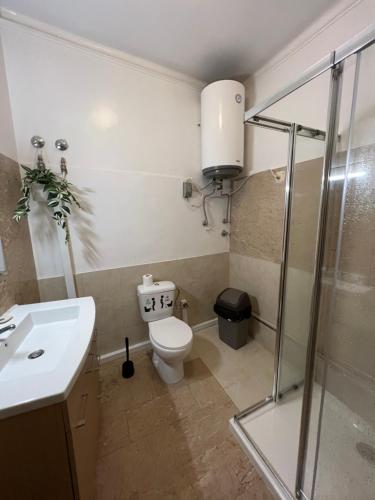 uma casa de banho com um WC, um lavatório e um chuveiro em Varandas do chiado - Lisboa em Lisboa