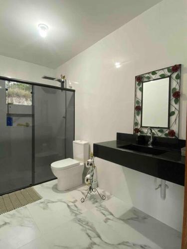 uma casa de banho com um WC, um lavatório e um espelho. em Casa vista da serra em São João del Rei