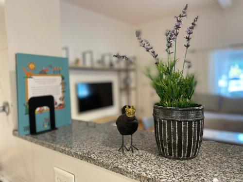 Casa Pueblo – Photos 3