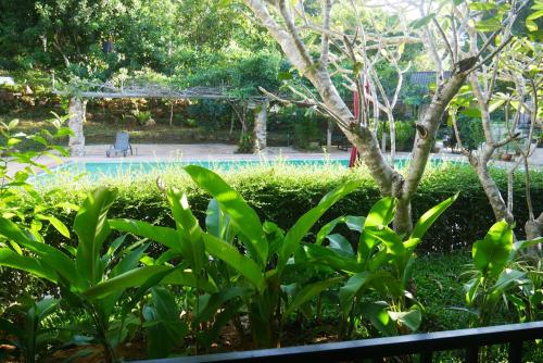 Taman di luar Big Elk Steak House - HomeStay