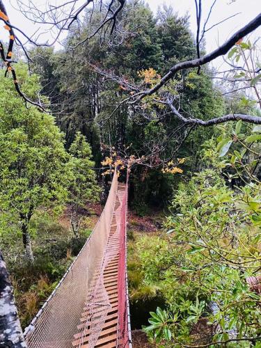un puente colgante en medio de un bosque en Cabañas y tinajas, en Ancud