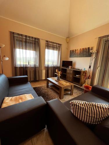 uma sala de estar com dois sofás e uma mesa de centro em Dunai Panorámás Apartman Dunaszentmiklóson em Dunaszentmiklós