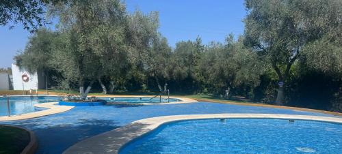 una gran piscina con árboles en el fondo en Apartamento a 8km Sevilla centro, en Valencina de la Concepción