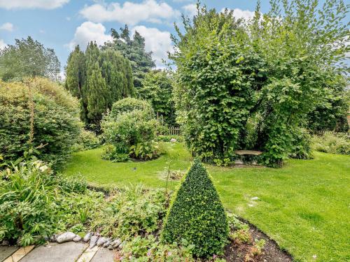a christmas tree in the middle of a garden at 2 bed property in Gresham 75916 in Aylmerton