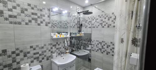 a bathroom with a sink and a toilet and a shower at Garsoniera in regim hotelier "Raul" in Petroşani