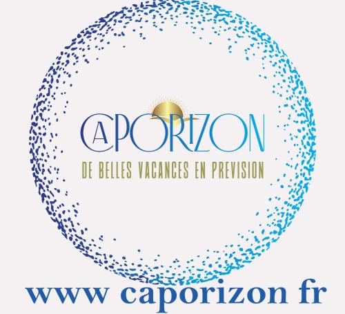 的住宿－Caporizon - Villa Puy d'Aiguillon- Piscine - 6 personnes，球的矢量插图,用气泡警告的文本保护