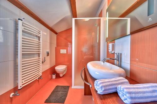 a bathroom with a sink and a toilet at Rustic Villa Simone with outdoor pool in Porec in Krmenjak