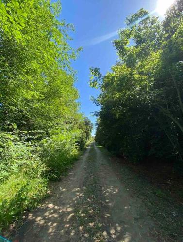 a dirt road with trees on either side at Cabañas en medio del bosque in Chascomús