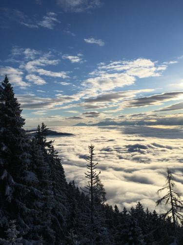 a view of trees and clouds in the sky at Haus Frank & Sophie in Feldkirchen in Kärnten