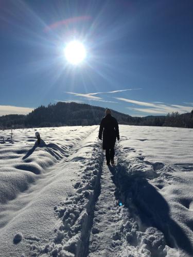 a man walking down a snow covered path at Haus Frank & Sophie in Feldkirchen in Kärnten