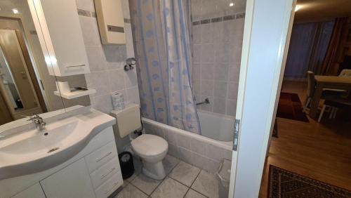 a bathroom with a sink and a toilet and a shower at Schöne Apartment in Bayerische Wald,Sankt Englmar in Sankt Englmar