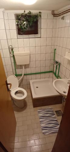 La salle de bains est pourvue de toilettes et d'un lavabo. dans l'établissement Samostanska kuća, à Fojnica