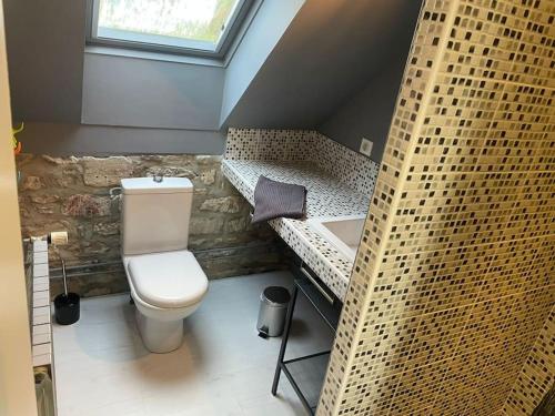 a small bathroom with a toilet and a sink at Maison vue panoramique in Saint-Pierre-Aigle
