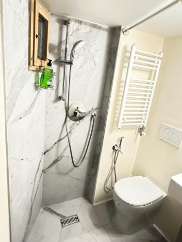 a bathroom with a shower and a toilet at Venice Rainbow apartments San Zaccaria in Venice