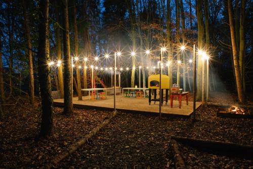 a park with a playground with lights in the woods at The West End - Hawarden Castle in Hawarden