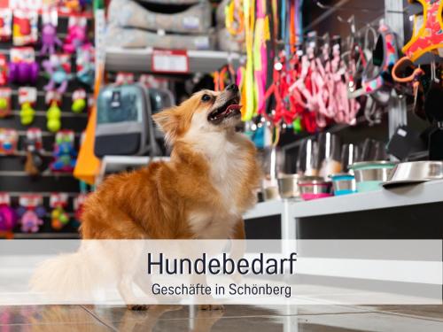 a dog sitting in a store with its mouth open at Ferienhaus Küstenzauber Kalifornien - mit Hund - komplett eingezäunter großer Garten - Sauna und Kamin - im Sommer Strandkorb inklusive in Schönberg in Holstein