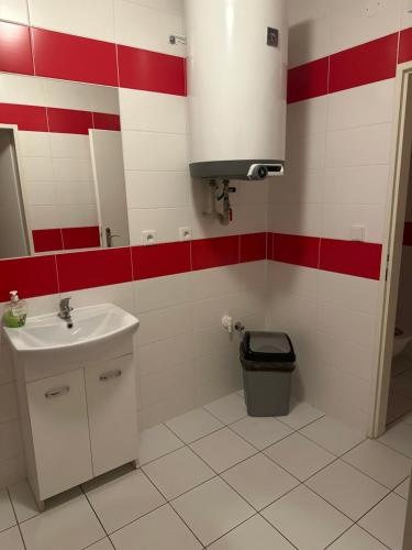 un bagno rosso e bianco con lavandino e servizi igienici di Motorest Na Ráně a Rakovník