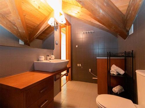 ein Bad mit einem Waschbecken und einem WC in der Unterkunft Apartamentos Villanua 3000 in Villanúa