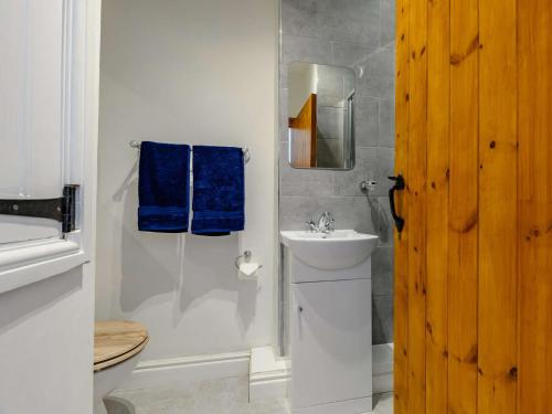 a bathroom with a sink and a toilet and blue towels at 2 bed property in Rothbury Northumberland 89502 in Thropton