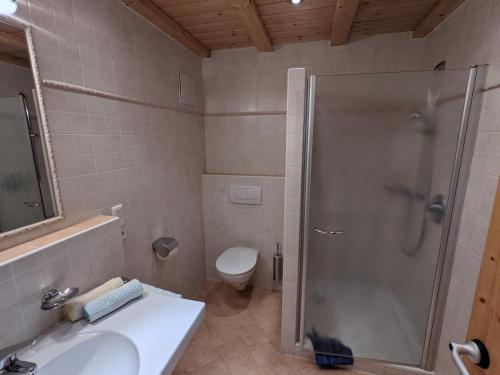 a bathroom with a shower and a sink and a toilet at Appartement Egart 3 in Resia