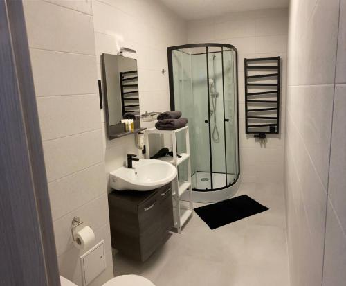 ein weißes Bad mit einem Waschbecken und einer Dusche in der Unterkunft LOFT HOUSE in Schidnyzja