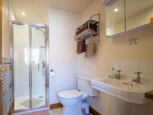 a bathroom with a toilet and a shower and a sink at 2 Bed in Thornton le Dale 27112 in Allerston