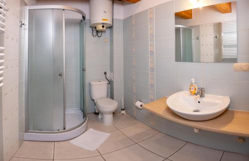 a bathroom with a sink and a shower and a toilet at Domki Ajna Park w uzdrowisku in Kołobrzeg