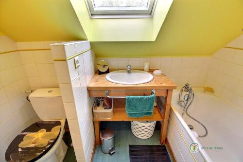 ein kleines Bad mit einem Waschbecken und einem WC in der Unterkunft Tournesol in Saint-Gildas