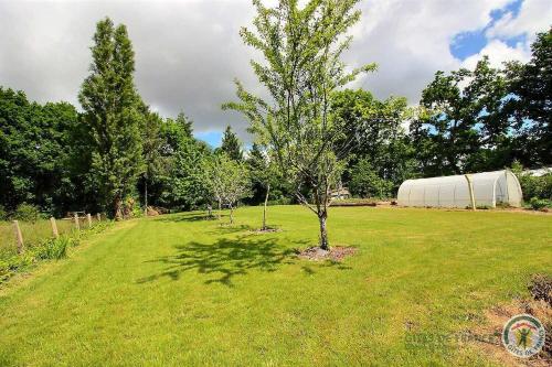 a tree in the middle of a grass field at Des trois fleurs in Plouguenast Langast