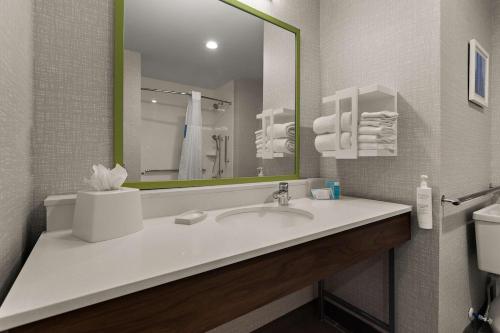 a bathroom with a sink and a mirror at Hampton Inn & Suites Ruskin I-75, FL in Ruskin