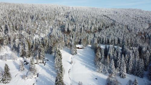 an aerial view of a snow covered forest with trees at Chata Šeřín in Vítkovice